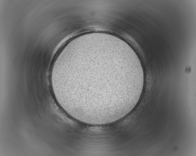 X0000112921182200910051101