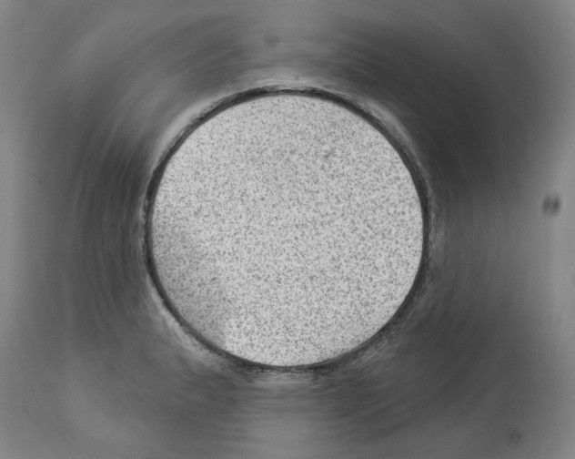 X0000112921183200910051101