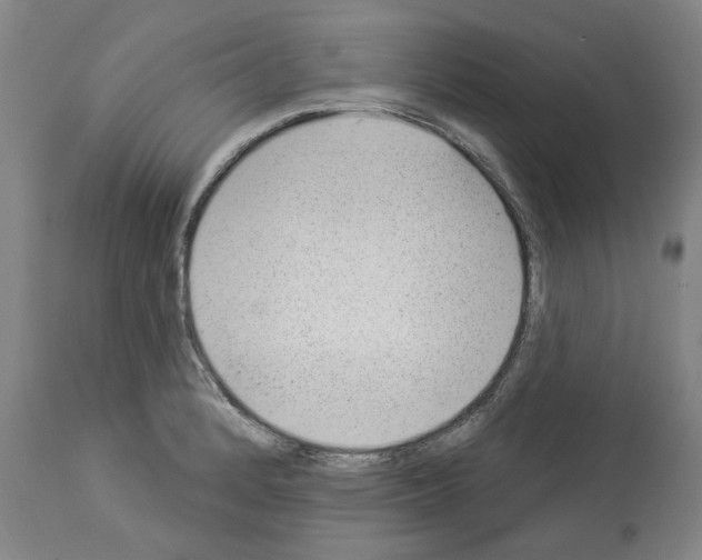 X0000112921184200910051101