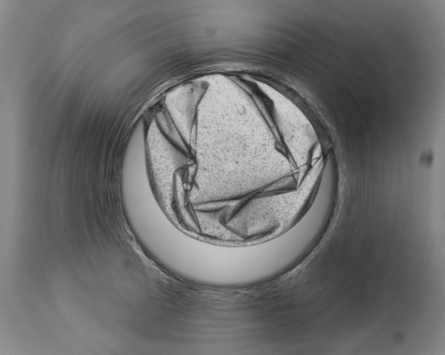 X0000112921185200910051101