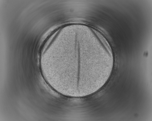 X0000112921188200910051100