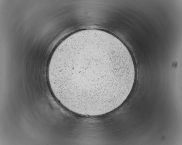 X0000112921189200910051100
