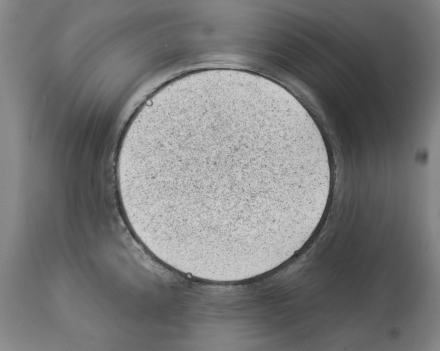 X0000112921192200910051100