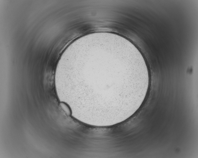 X0000112921193200910051100