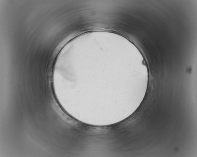X0000112921195200910051100