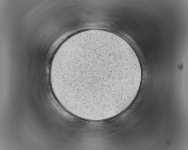 X0000112921196200910051100