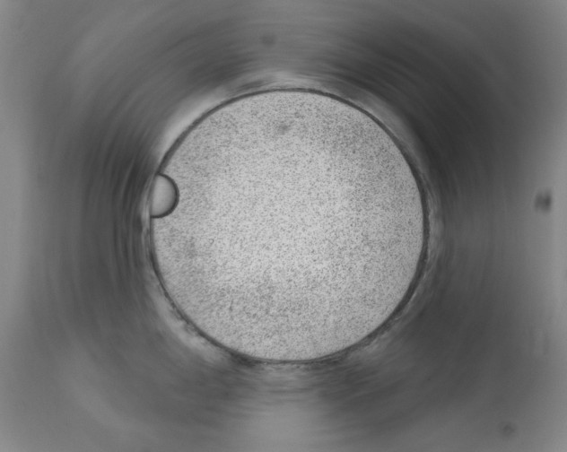 X0000112921198200910051100