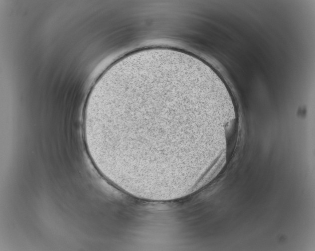 X0000112921199200910051100