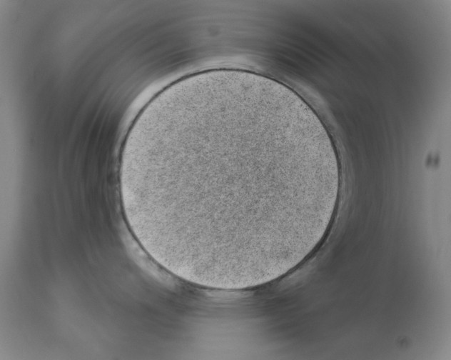 X0000112921200200910051100