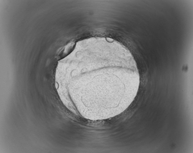 X0000112921201200910051059