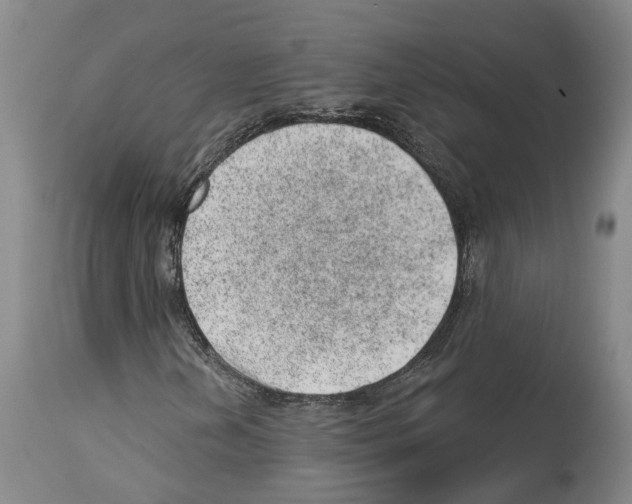 X0000112921202200910051059