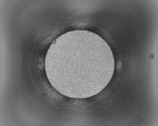 X0000112921204200910051100