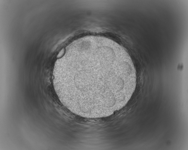 X0000112921205200910051100