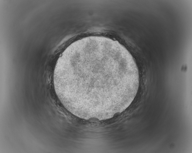 X0000112921206200910051100