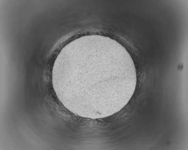 X0000112921207200910051100