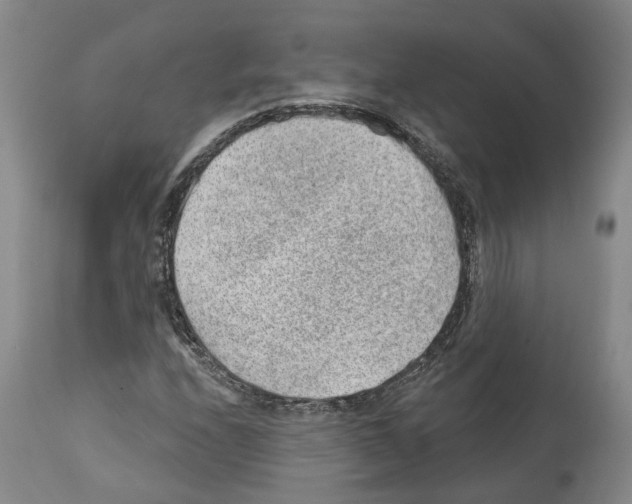 X0000112921208200910051100