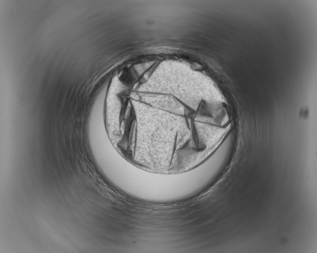 X0000112921209200910051100