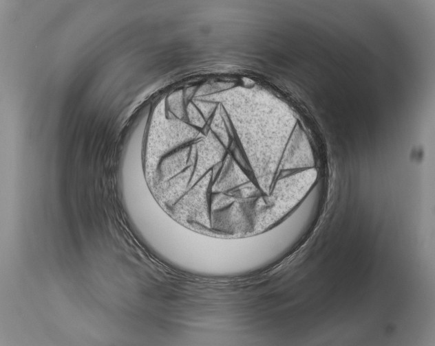 X0000112921210200910051100