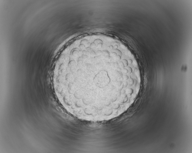 X0000112921212200910051100