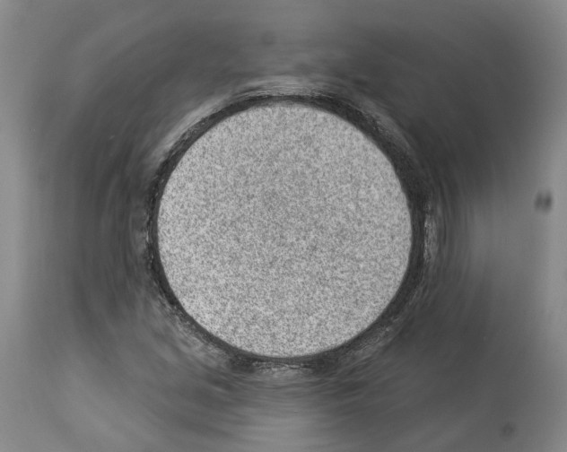 X0000112921213200910051100