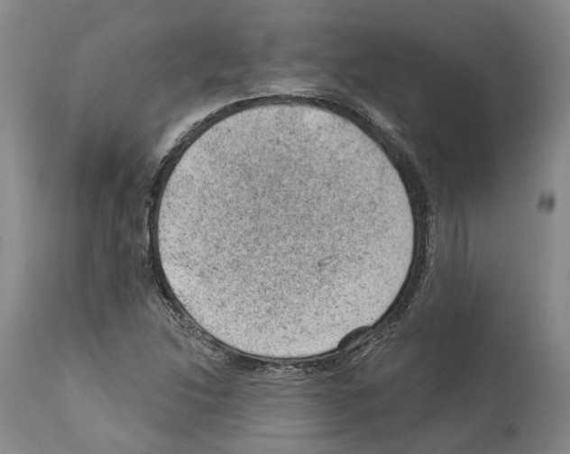 X0000112921214200910051100