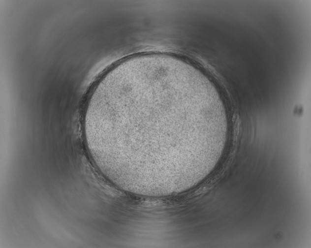 X0000112921215200910051100