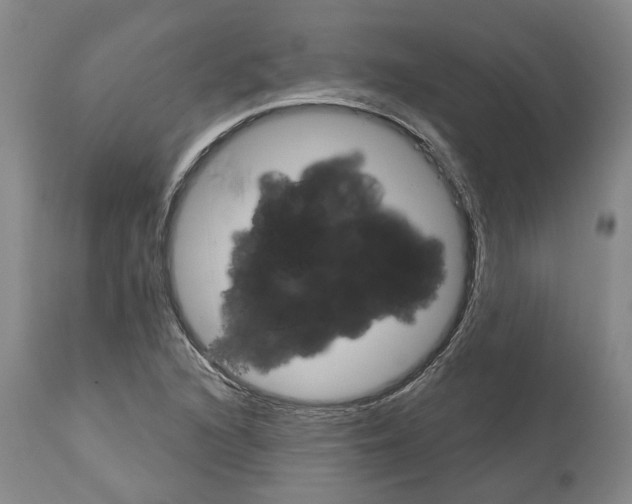 X0000112921216200910051100