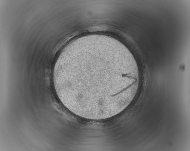 X0000112921217200910051100