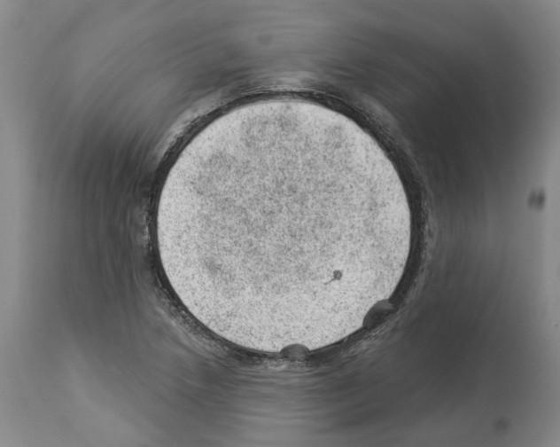 X0000112921218200910051100