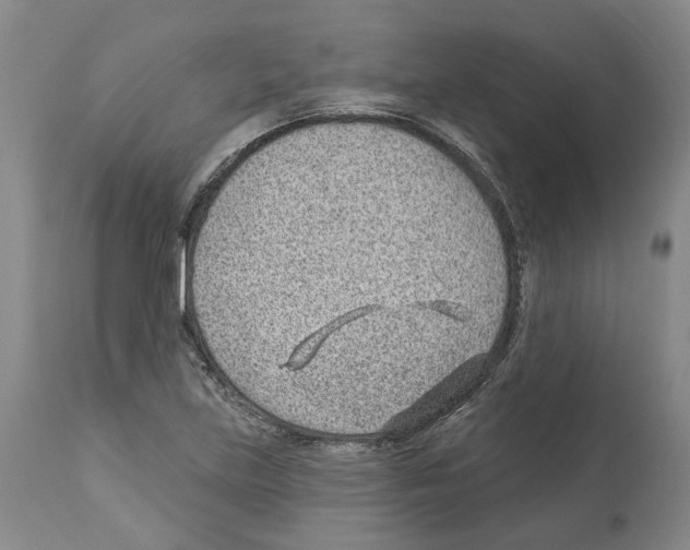 X0000112921219200910051100