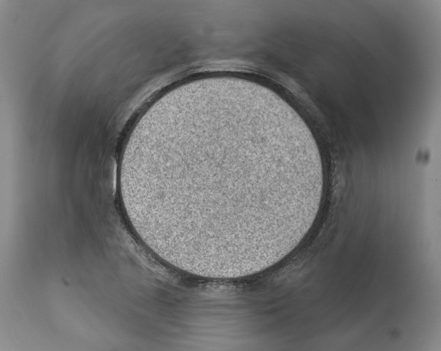 X0000112921221200910051100