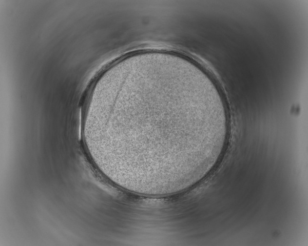 X0000112921223200910051100