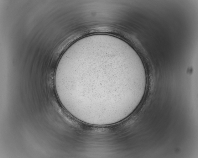 X0000112921225200910051100