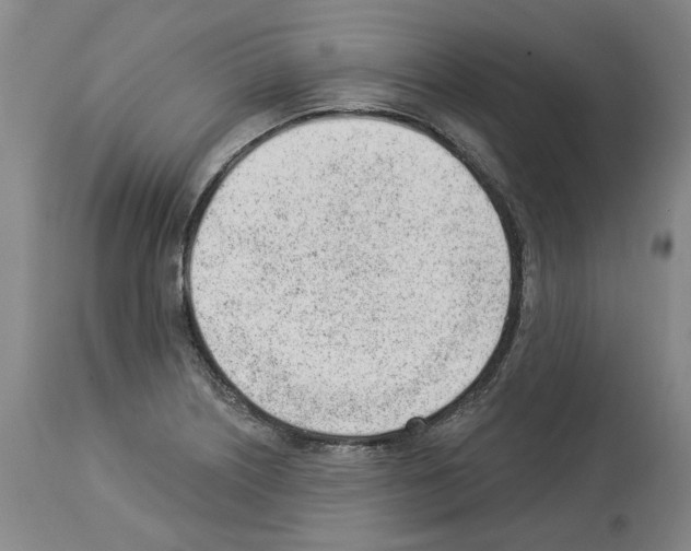 X0000112921226200910051100