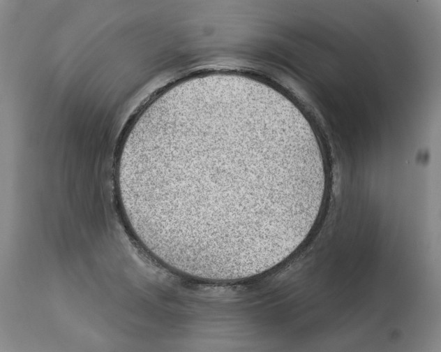 X0000112921229200910051100
