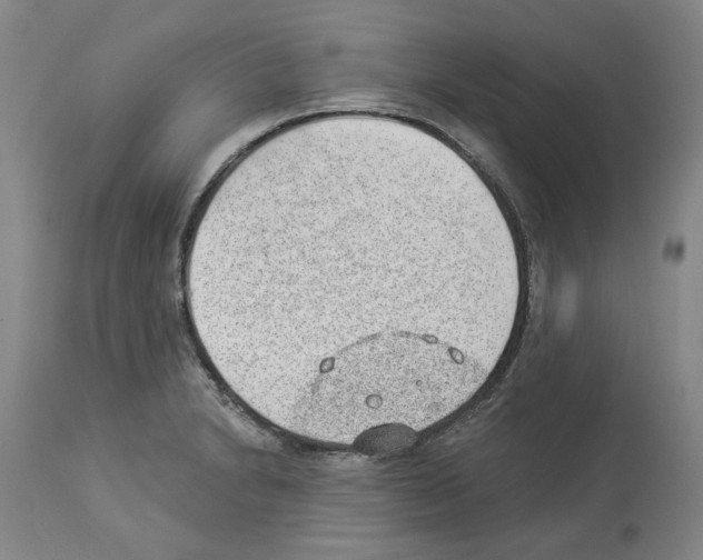 X0000112921230200910051100