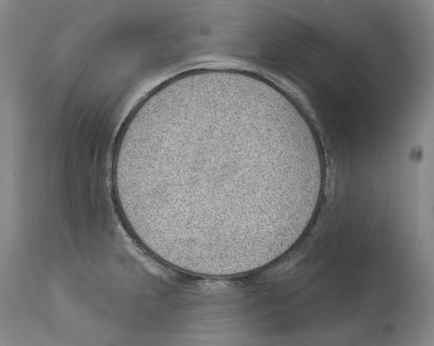 X0000112921231200910051100