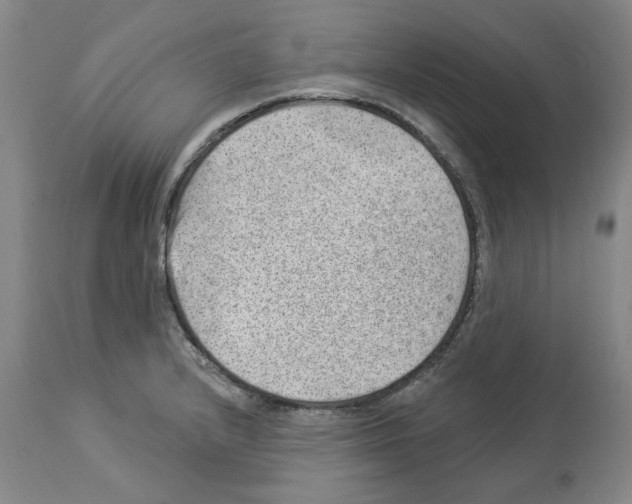 X0000112921232200910051100