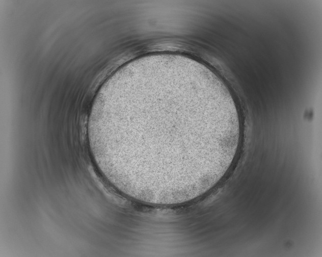 X0000112921233200910051100