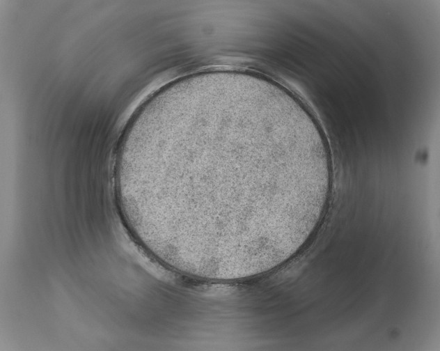 X0000112921235200910051100