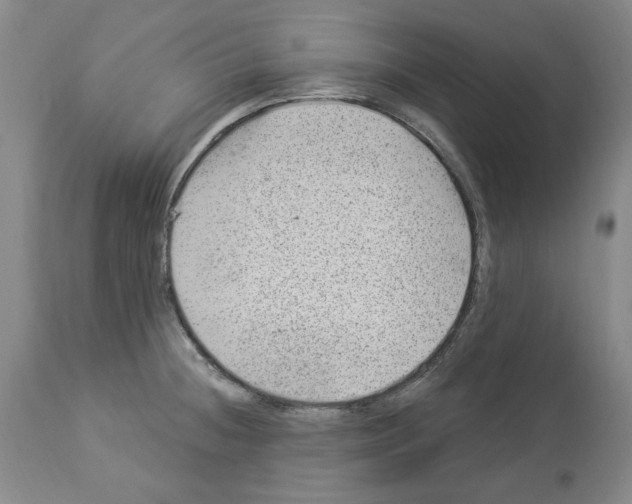 X0000112921236200910051100