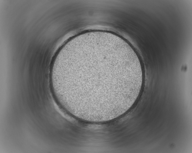 X0000112921237200910051100