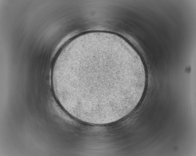 X0000112921238200910051100