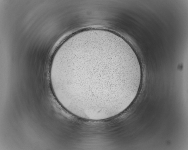 X0000112921240200910051100