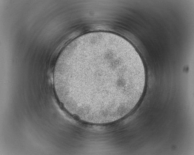 X0000112921241200910051100