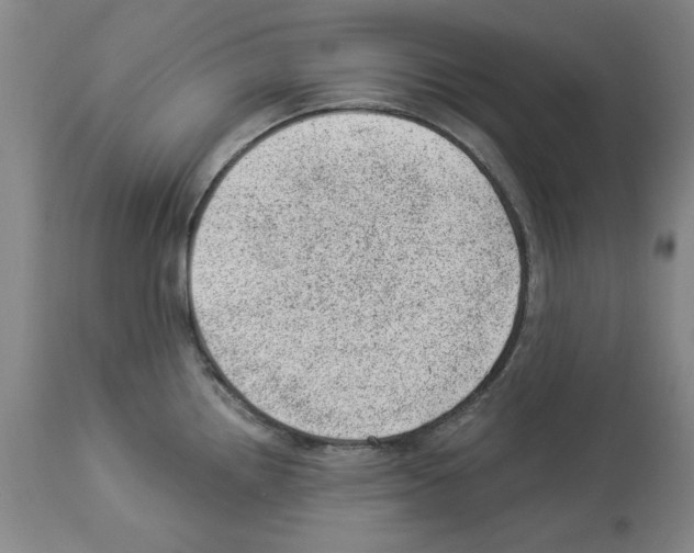 X0000112921242200910051100
