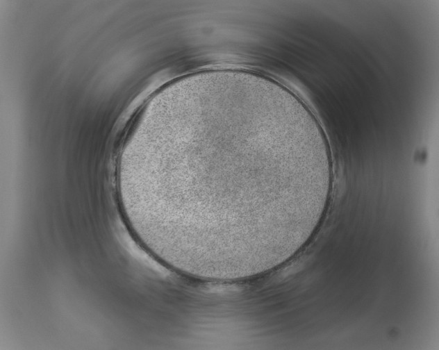 X0000112921243200910051100