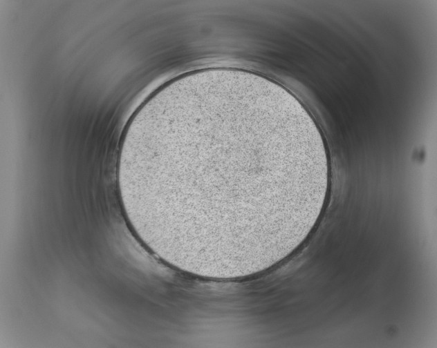X0000112921244200910051100