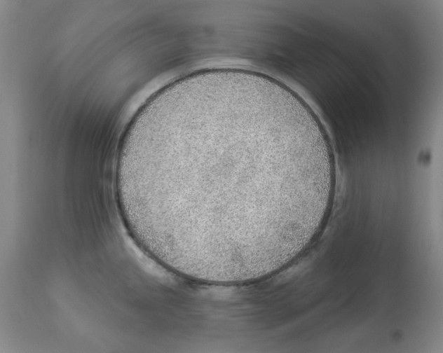 X0000112921245200910051100
