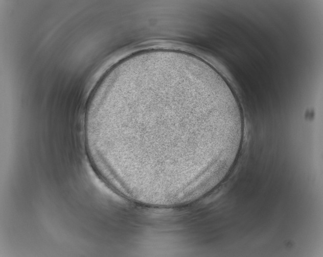X0000112921247200910051100